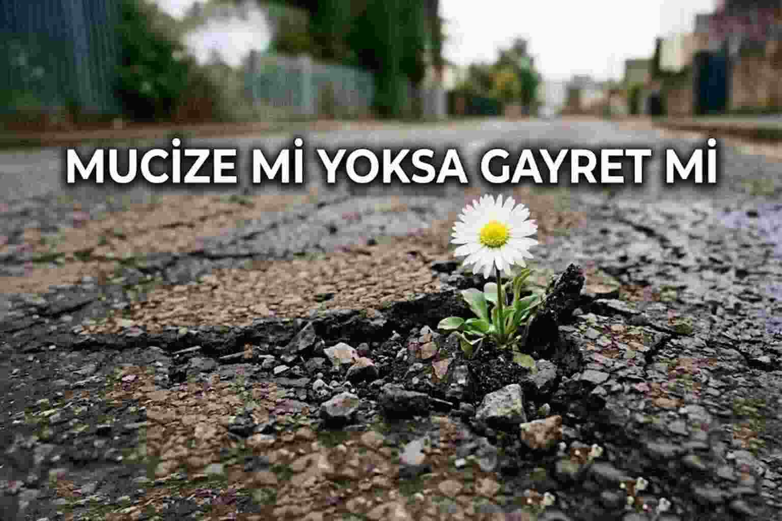 Tevekkül Nedir? Mucize mi Yoksa Gayret mi?